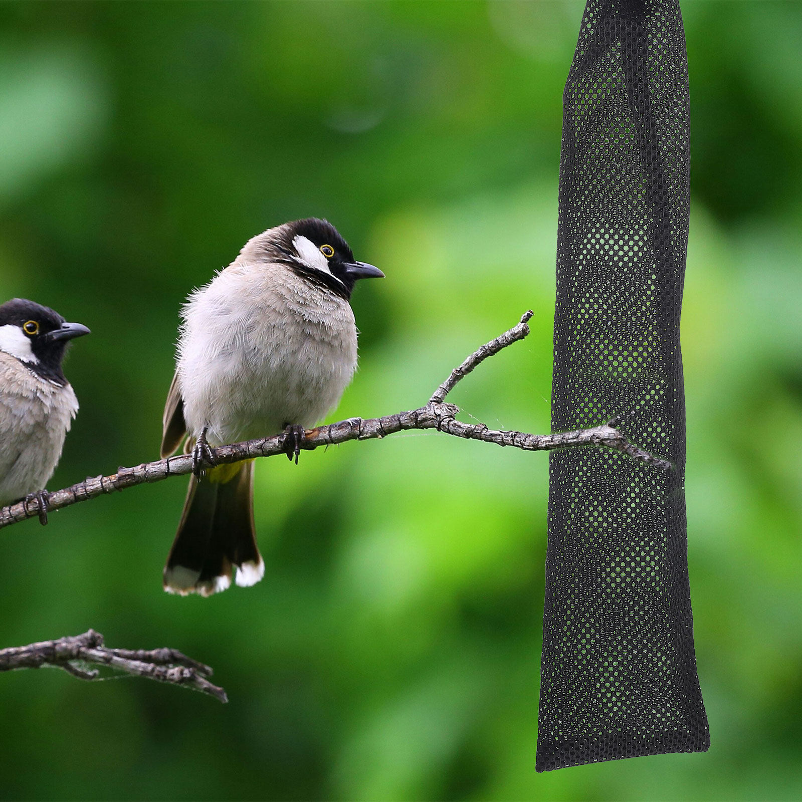 Набор из 3 прочных нейлоновых  – обзор и цена Mesh Feeder Bag